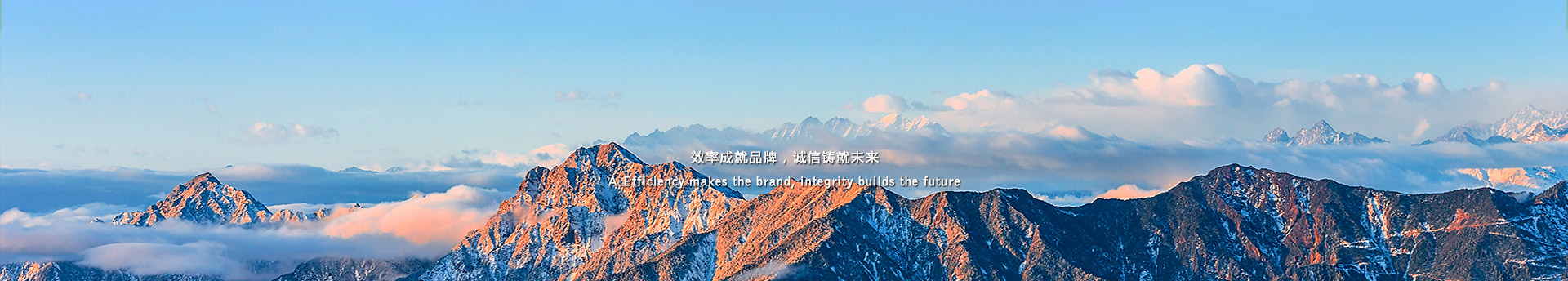 好色先生TV在线观看磚價格